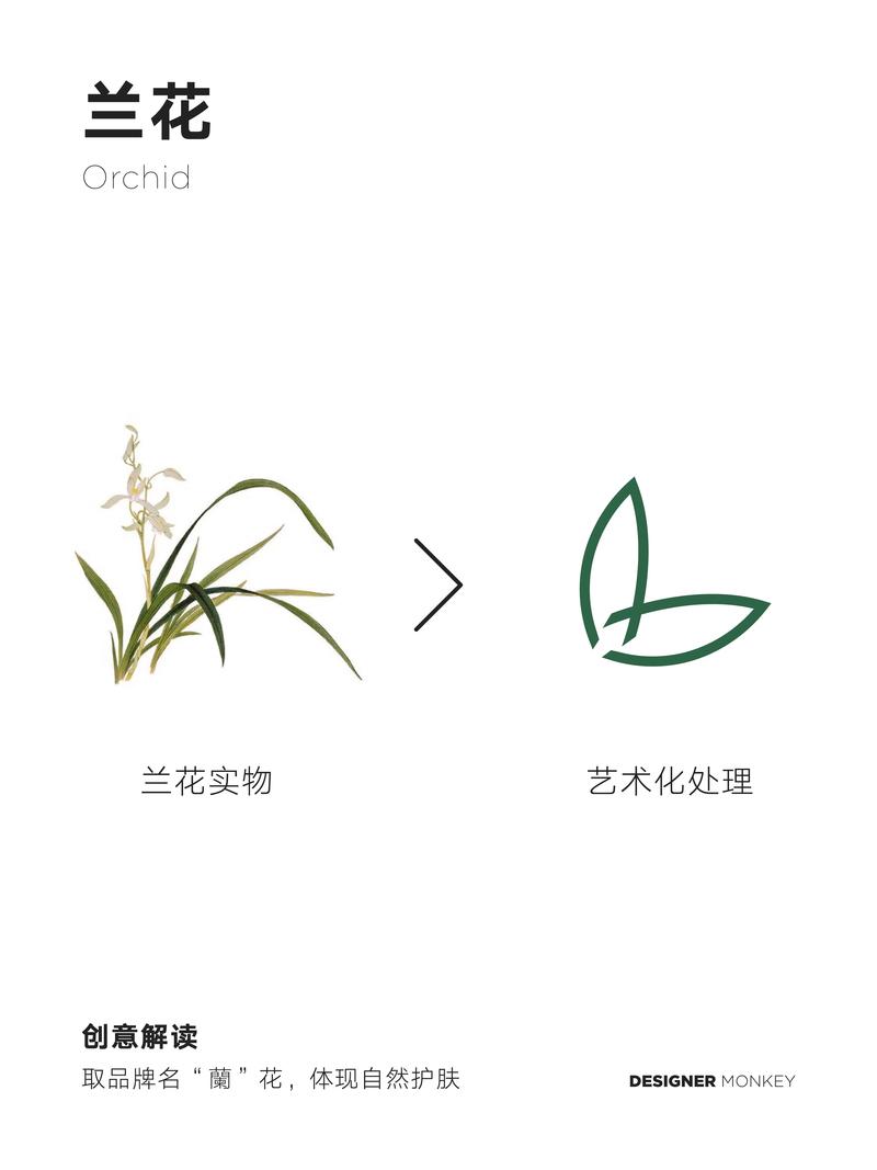吊兰资讯