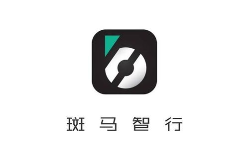 斑马云接码赚钱