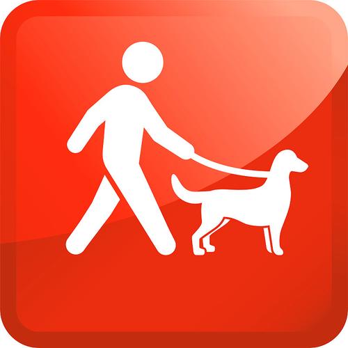 全民遛狗分红版截图
