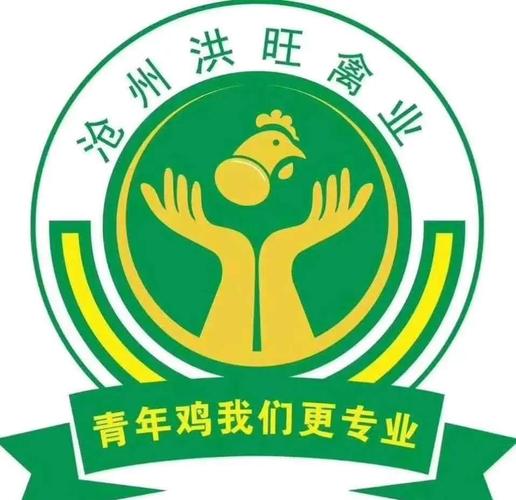 养鸡换蛋赚钱