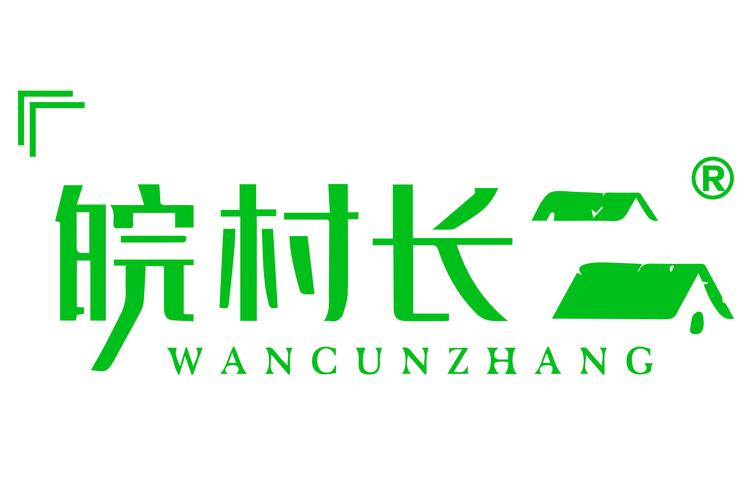 共享村长app