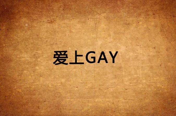gay小说v13