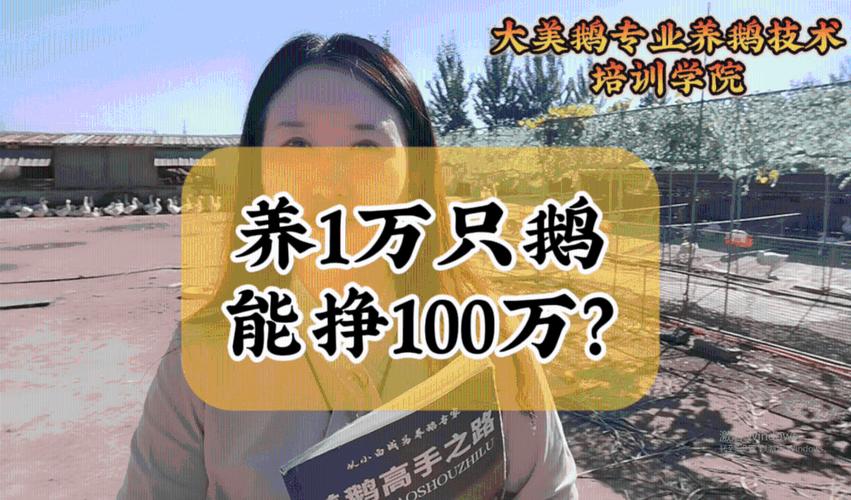养鹅赚钱分红版
