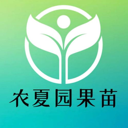 妃子笑果园