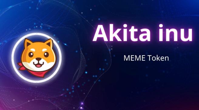 AKITA币