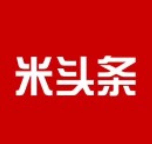 米头条图标