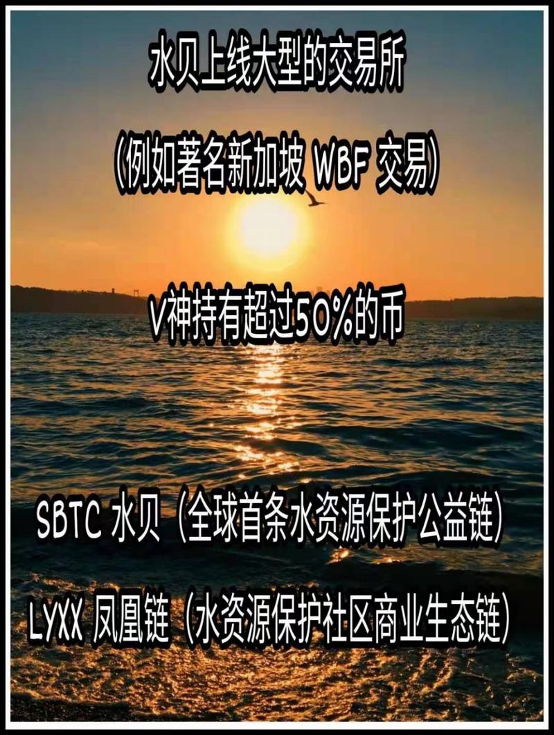 新加坡wbf交易