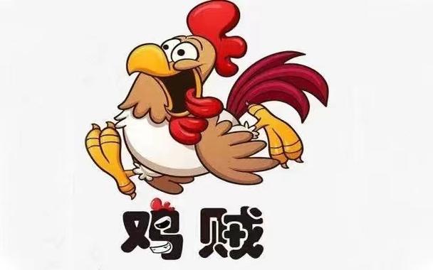 我鸡养得贼6