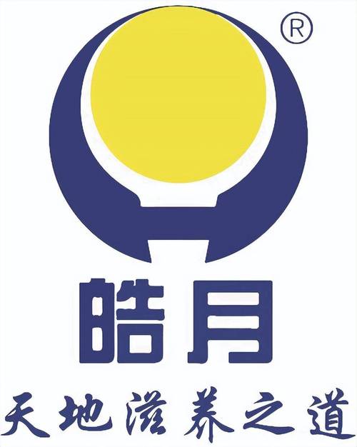 皓月辅助总代版官