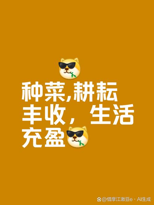 趣头条种菜手机种