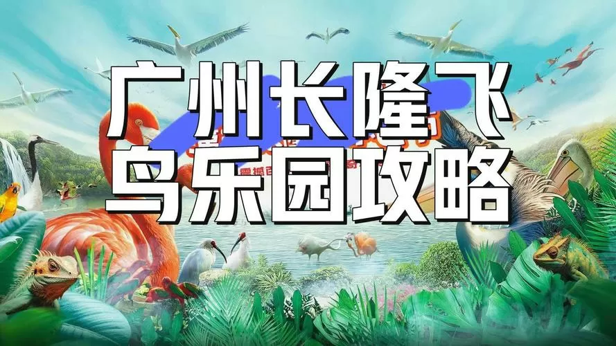 番禺飞鸟乐园好玩吗