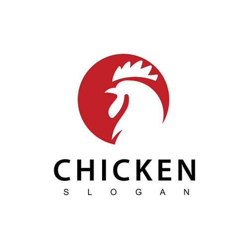 火鸡阅读