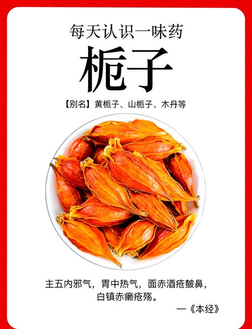 栀子文学小说手机缩略图
