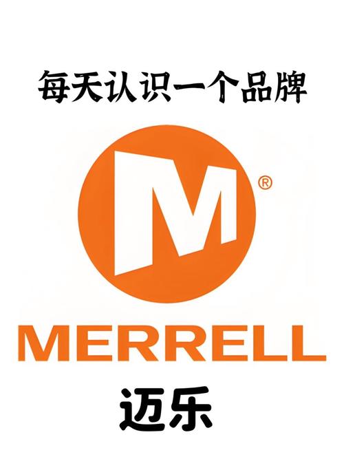 迈视乐吧图标