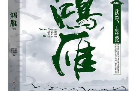 鸿雁小说2019缩略图