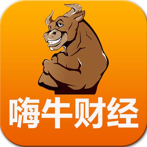 嗨牛贷款