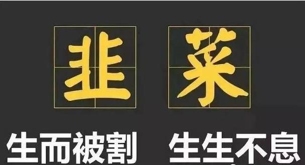 韭菜收割者分红版