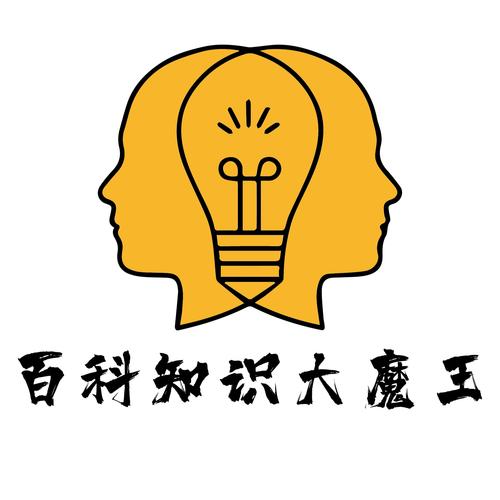 知识答人