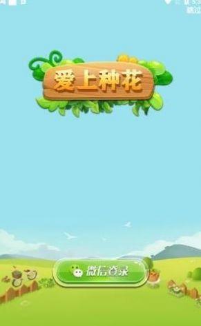 爱上种花最新版图标