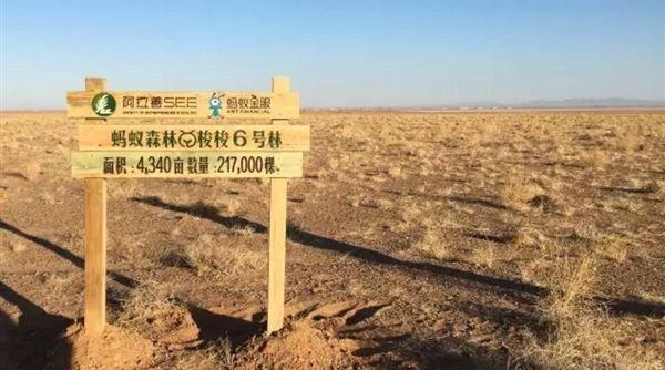 泰坦森林种树赚钱