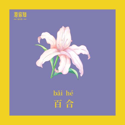 百合阅读官网版