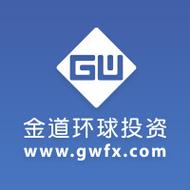 金道国际