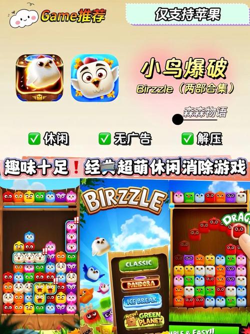 萌鸟大爆最新版本