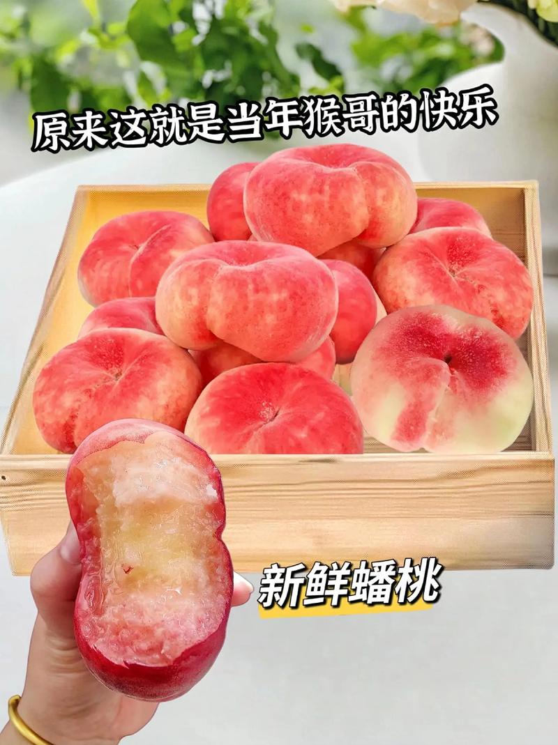 蟠桃至尊转发手机