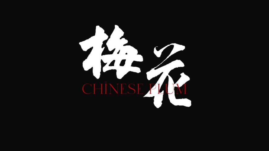 梅花视频老版本