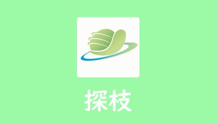 探树试玩平台