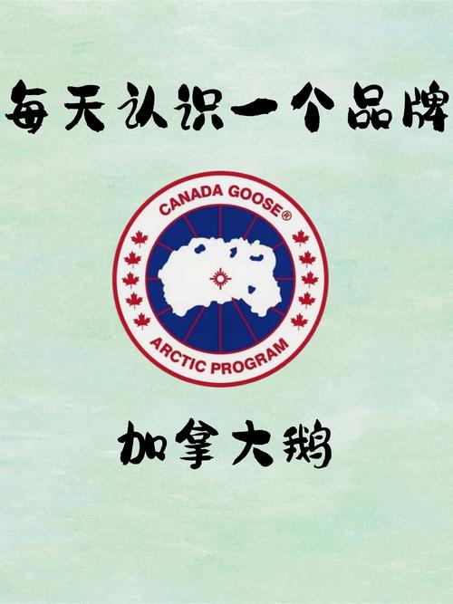 无名大鹅双人模式