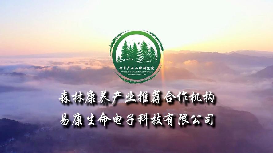 健康森林赚钱安装