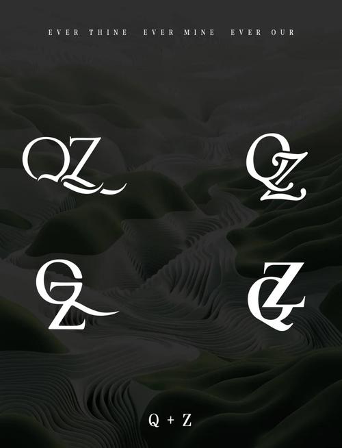 QZDSP2.APP升级版