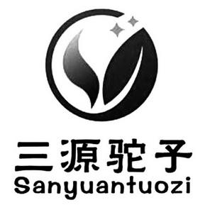 三源小说