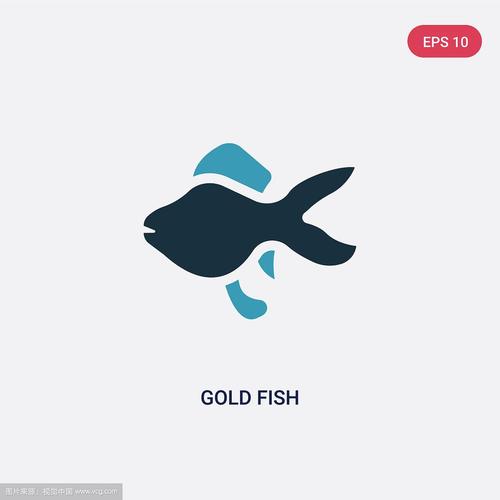 金鱼资讯