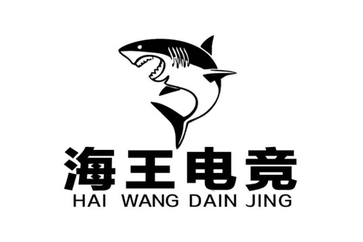 海王电竞玩游戏赚