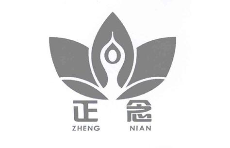 又见正念最新版