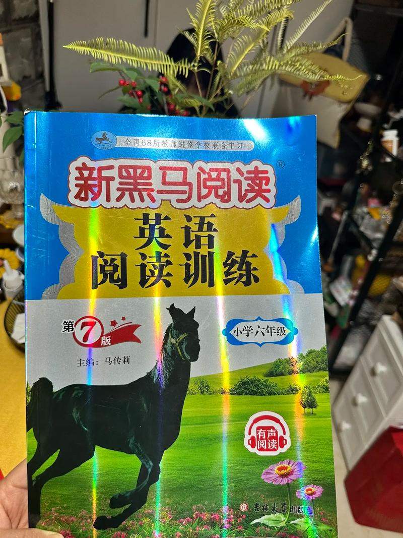 黑马阅读赚钱正版
