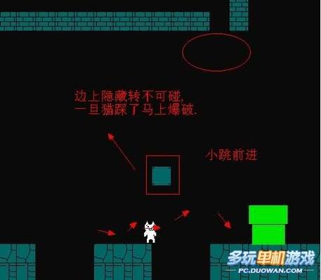 变态猫里奥201