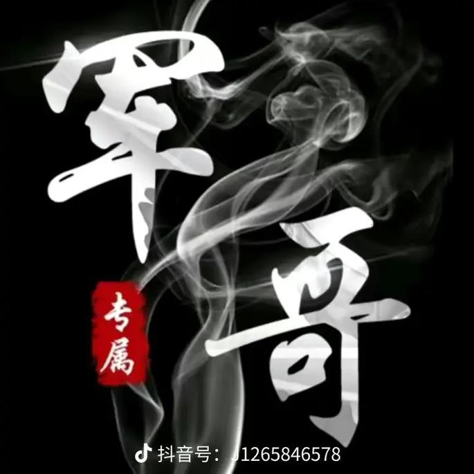 军哥王者美化app