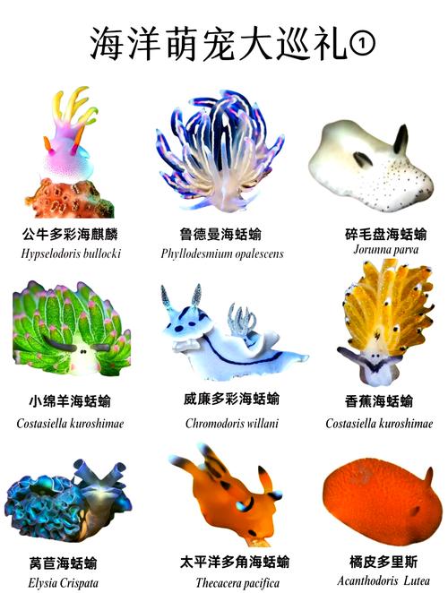 海兔资讯阅读转发
