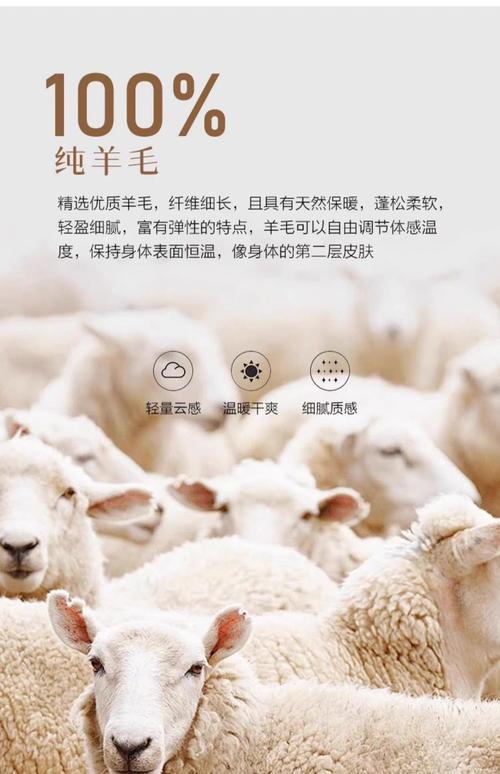 羊毛来了官网手机