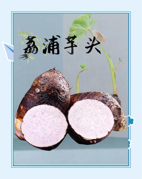 甜芋头官网手机版