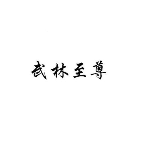 武林至尊bt版