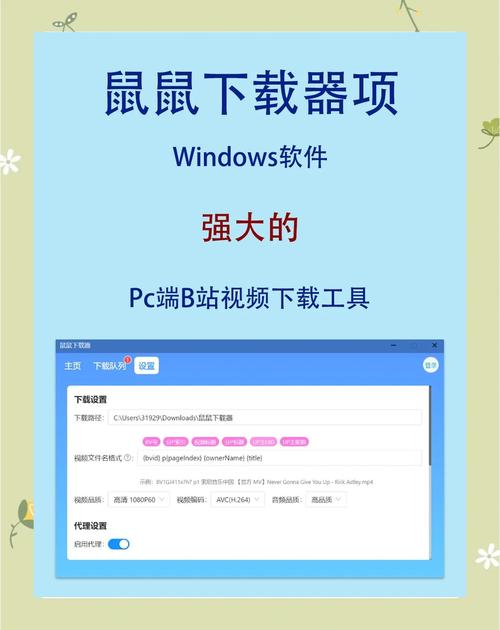 金鼠网安卓版