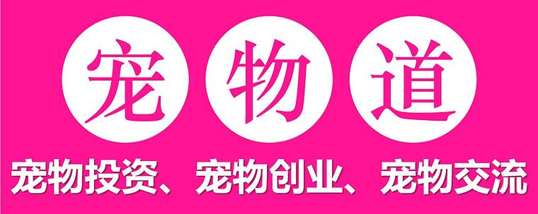 养宠时代20元红
