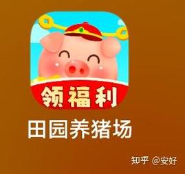 每天养猪赚钱领红