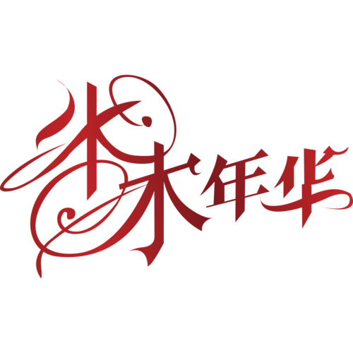 年华小说