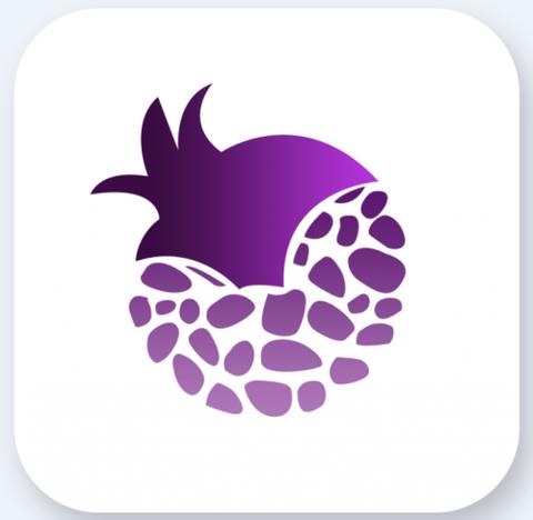 紫石榴应用商店官