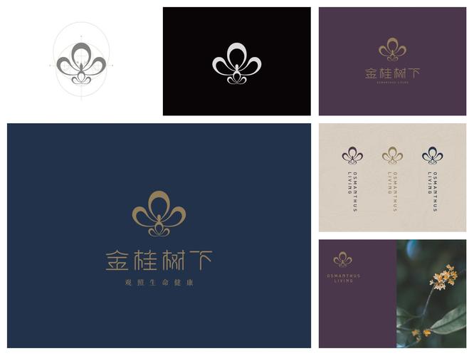 桂花网转发赚钱